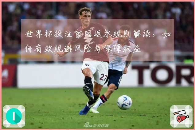 世界杯投注官网返水规则解读,如何有效规避风险与保障权益