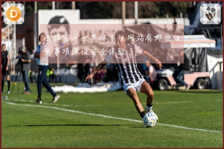 选择官方世界杯下注网站有哪些注意事项保证安全体验